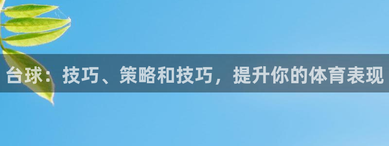 星欧娱乐扣款流程详解视频